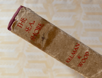 Image 8 of The Seashore The Shown Series (A)