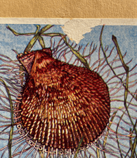 Image 2 of The Seashore The Shown Series (B)