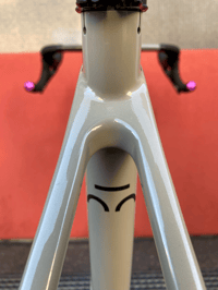 Image 6 of BRIDGE Surveyor SRAM RIVAL XPLR 1x13 