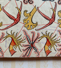 Image 5 of Seashore life and pattern (A)