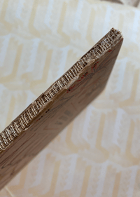 Image 2 of Seashore Life and Pattern (B)