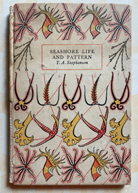 Image 1 of Seashore Life and Pattern (B)