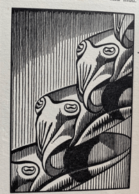 Image 4 of Seashore Life and Pattern (B)