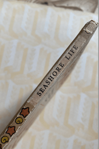 Image 5 of Seashore Life and Pattern (C)