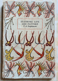 Image 1 of Seashore Life and Pattern (C)