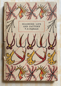 Image 1 of Seashore Life and Pattern (D)