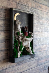 Image 2 of Stars Night