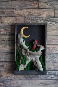 Image 3 of Stars Night