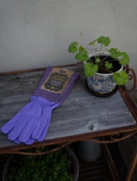 Image 2 of Goatskin Gauntlet Scratch Protector Gardening Gloves
