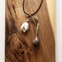 Image 1 of Bulbous  240€ TTC