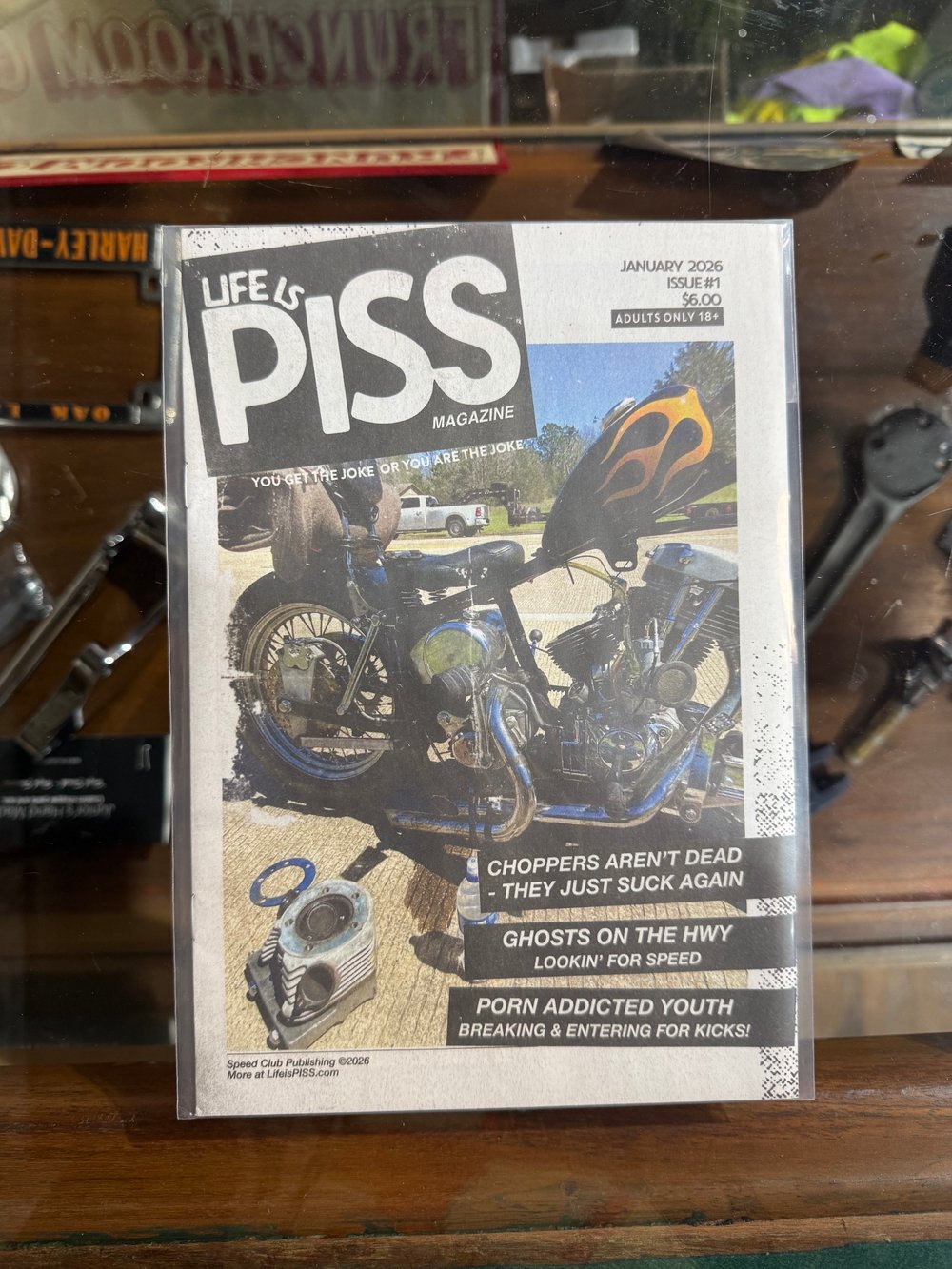 Image of Life is Piss (Issue 1)