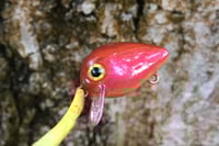 Image 1 of SPEEDBAITS Custom Airbrushed Crankbait BFS 