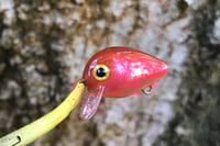 Image 4 of SPEEDBAITS Custom Airbrushed Crankbait BFS 