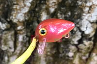 Image 5 of SPEEDBAITS Custom Airbrushed Crankbait BFS 