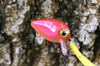 Image 6 of SPEEDBAITS Custom Airbrushed Crankbait BFS 