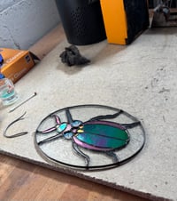 Image 2 of Iridescent Beetle