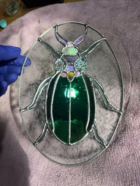 Image 3 of Iridescent Beetle
