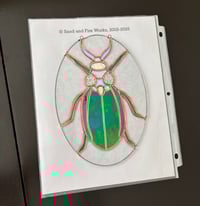 Image 5 of Iridescent Beetle