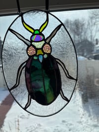 Image 1 of Iridescent Beetle