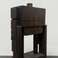 Image 3 of RWG EBONY BOT