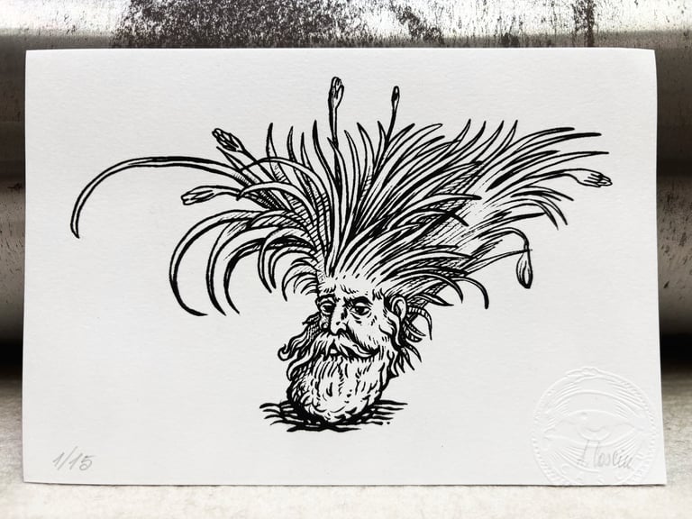 Modditzi (Lentischio)