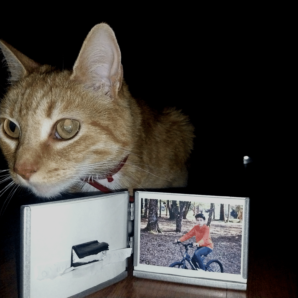 Image of mi memoria tomando forma - almeja de plata, abierta + la carrera universal hacia no entendernos