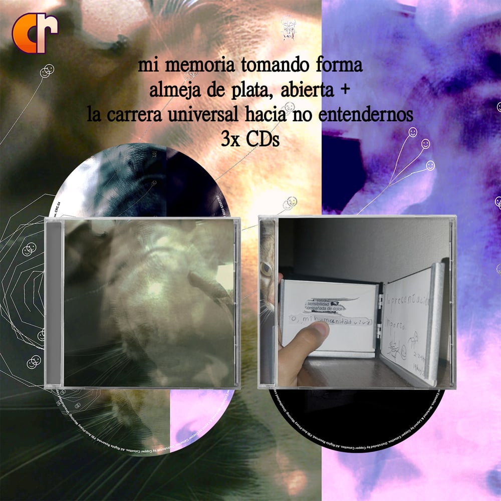 Image of mi memoria tomando forma - almeja de plata, abierta + la carrera universal hacia no entendernos