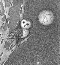 Image 4 of "Seremos un poema entre los astros."