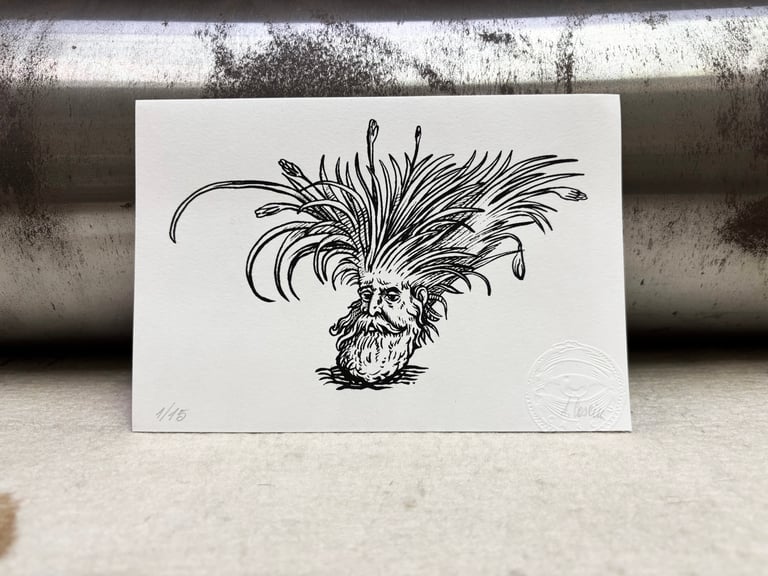 Modditzi (Lentischio) Image 2