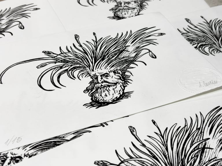 Modditzi (Lentischio) Image 3