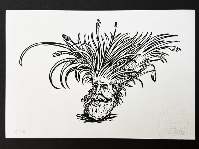 Modditzi (Lentischio) Image 5