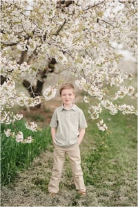 Image 3 of Blossom minis - deposit