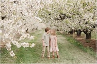 Image 4 of Blossom minis - deposit