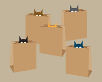 Image 6 of Mulit Cat Collection