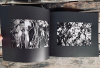 Image 4 of How The Light Gets Out, Soft Cover Photo Zine, 10 x 8, 20 Pages