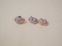 Image 2 of Sherbert Animals - choose one 