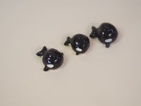 Image 2 of Orcas! - choose one 