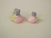 Image 1 of Starberry Bunnies - choose one 