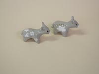 Image 3 of Mini Donkeys - choose one 