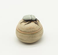 Image 4 of Beetle Trinket Box 1