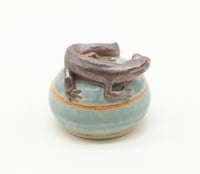 Image 4 of Newt Trinket Box 1