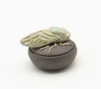 Image 1 of Cicada Trinket Box 2