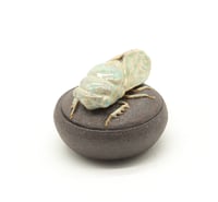 Image 5 of Cicada Trinket Box 2