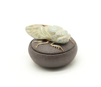Image 3 of Cicada Trinket Box 2