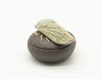 Image 4 of Cicada Trinket Box 2