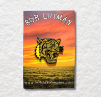 Image 4 of Gold Tiger in a Trance Enamel Pins with Grateful Dead Bolt, Saint of Circumstance