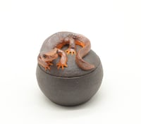 Image 2 of Newt Trinket Box 2