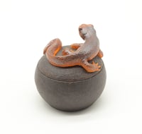 Image 4 of Newt Trinket Box 2