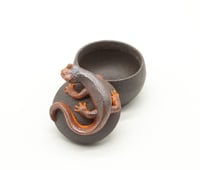 Image 5 of Newt Trinket Box 2