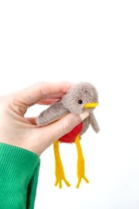 Image 1 of baby robin